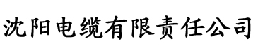 关于我的沙雕恶魔室友电缆厂logo